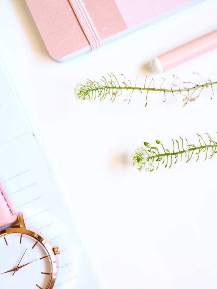 pexels photo 1228515 Elegant composition with notebook, watch, and floral twigs on a white background.